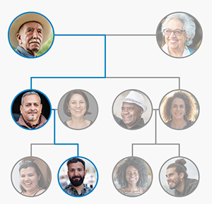 Y DNA flowchart